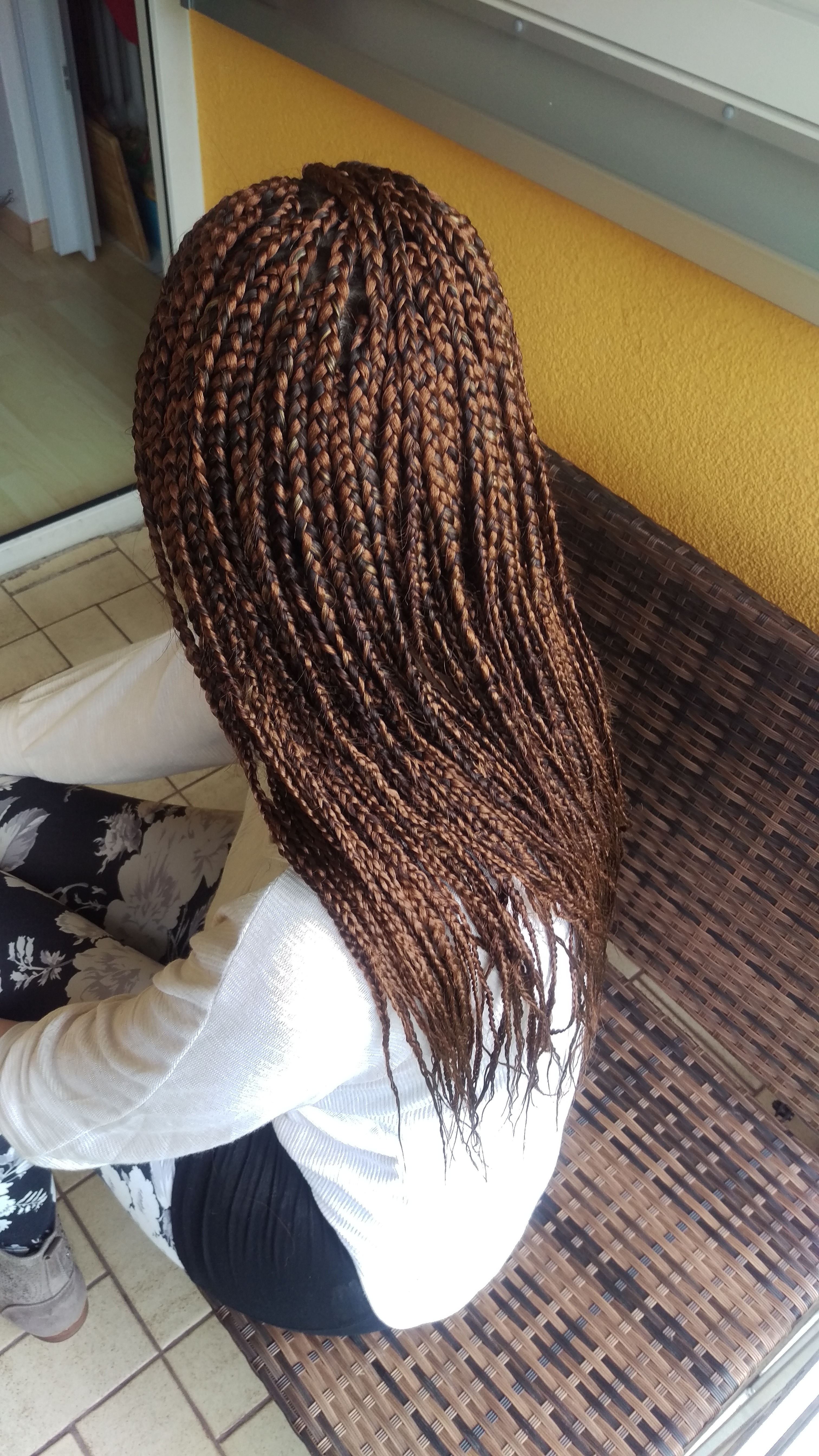 Rastazopfe Braids Rastas Cornrows De